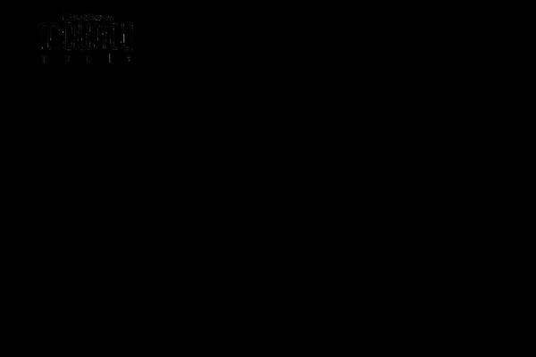 X | The Theme theme site design template sample
