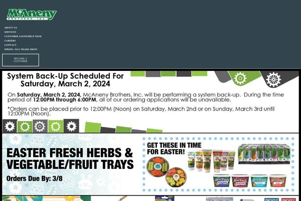 mcaneny.biz site used Total Child