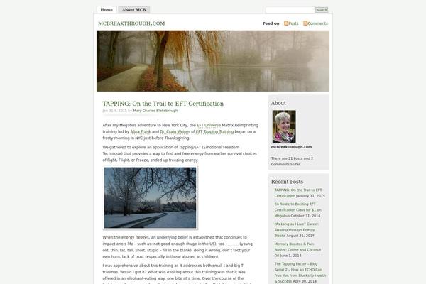 Misty Look theme site design template sample