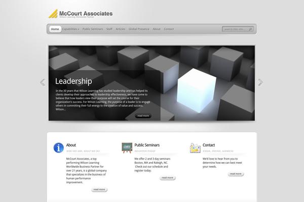 TheProfessional theme site design template sample