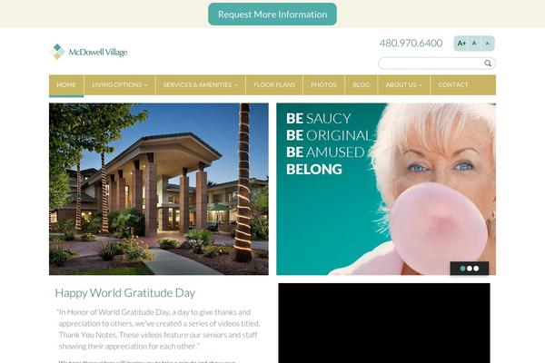 Duena theme site design template sample