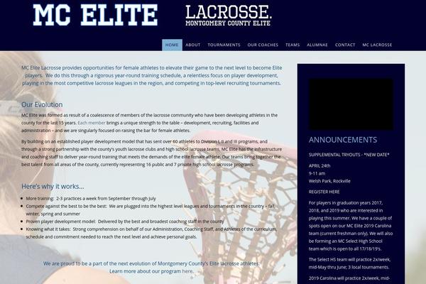 Clever theme site design template sample