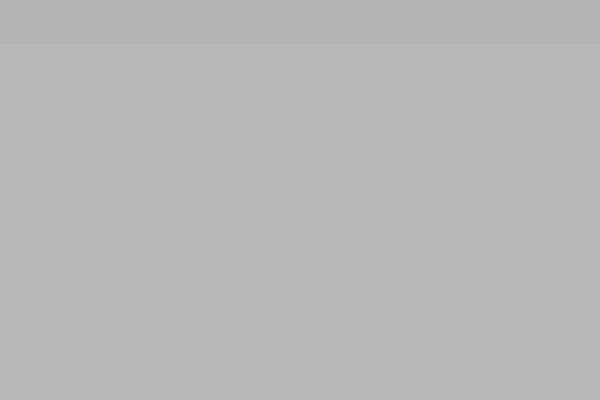 Site using Wp-team-pro plugin