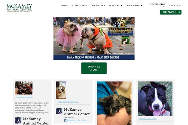 Site using Elementskit-lite plugin