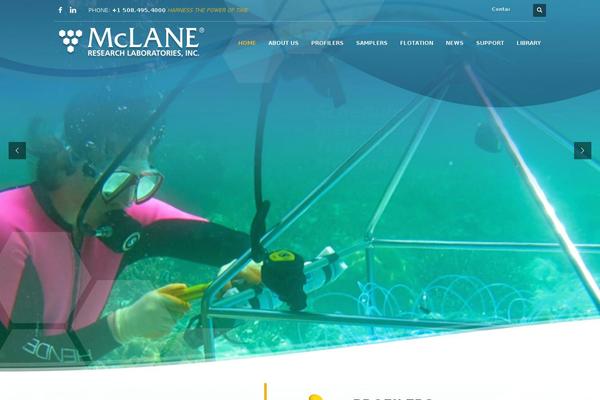 KALLYAS Child theme site design template sample