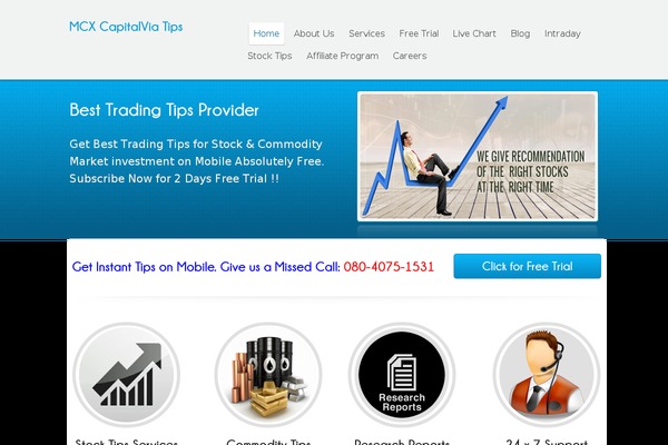 Poloray theme site design template sample