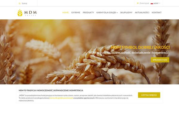Mdm theme site design template sample