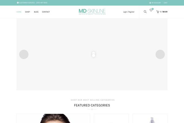 Basel-child theme site design template sample