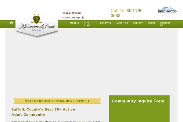 My Theme theme site design template sample