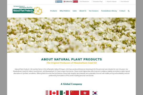 Site using Pinterest "Pin It" Button plugin
