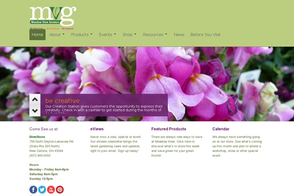 Whitelight theme site design template sample