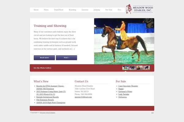 Twicet theme site design template sample