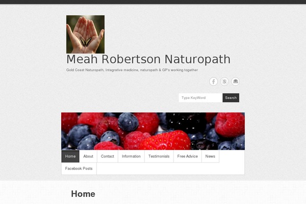 Simple Catch Pro theme site design template sample