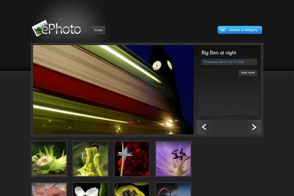 Designexo theme site design template sample