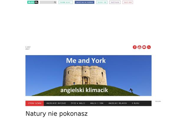 The Newswire theme site design template sample