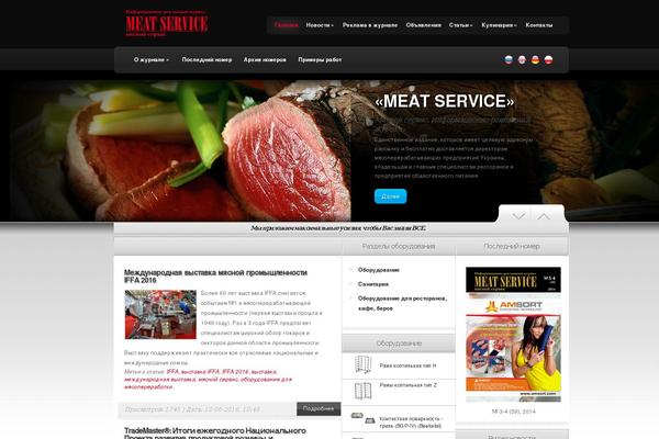 TheSource theme site design template sample