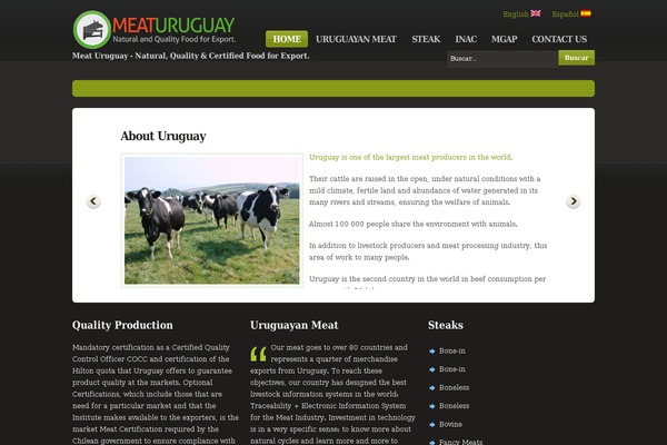 Over Easy theme site design template sample