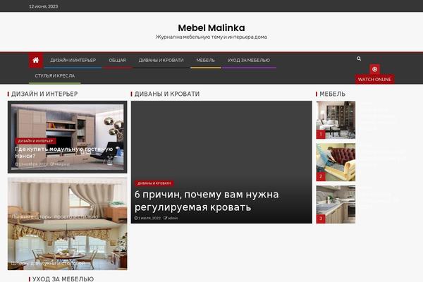 EnterNews theme site design template sample