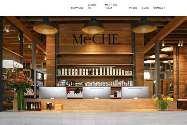 Bridge Child theme site design template sample
