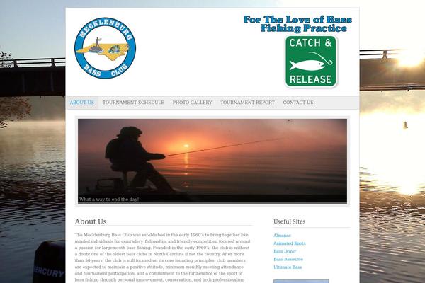 Fresh & Clean theme site design template sample