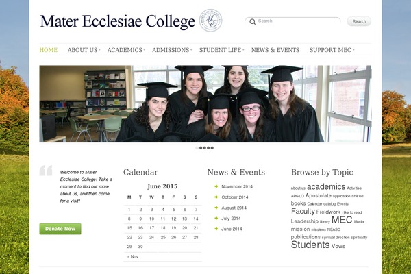 Delicate theme site design template sample