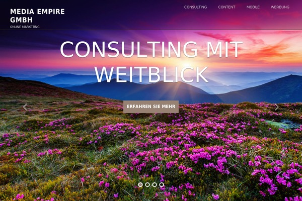 Meris theme site design template sample