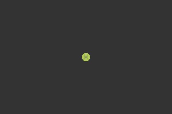 Site using Wpzoom-portfolio plugin