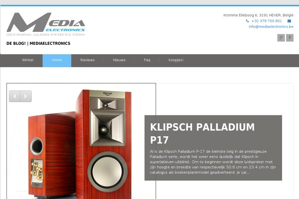 Felicity theme site design template sample