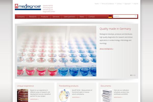 Virtue Premium theme site design template sample