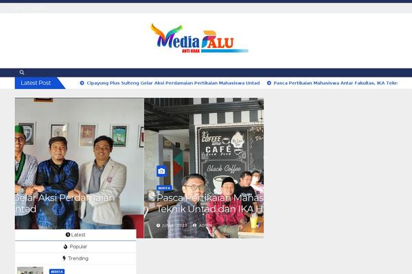 Site using Visitors-traffic-real-time-statistics plugin