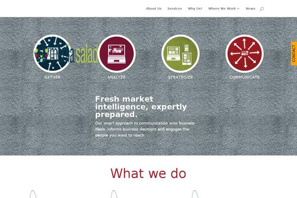 Divi Child theme site design template sample