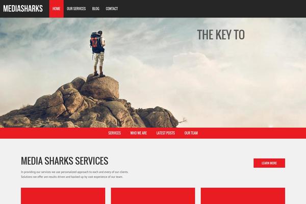 Infographer theme site design template sample