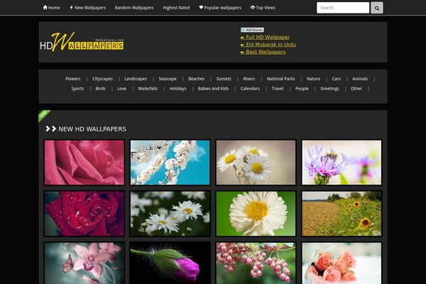 newwall theme websites examples