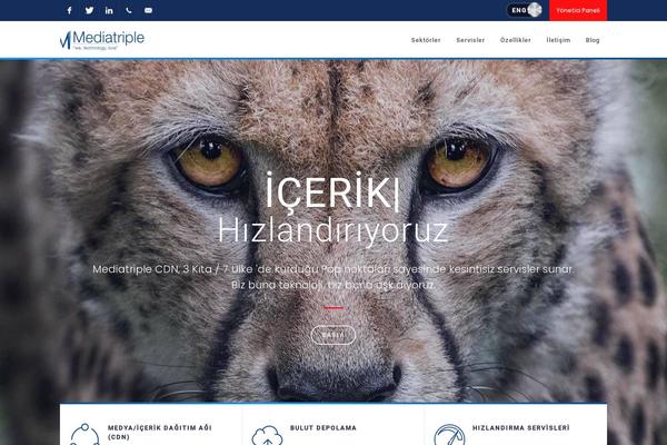 Site using Wp-seo-keyword-optimizer plugin