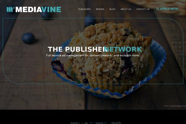 Site using Mediavine-trellis-images plugin