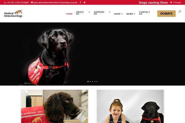 Divi Child theme site design template sample