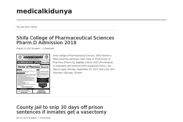 Magazine Pro theme site design template sample