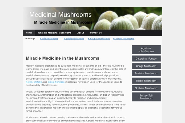 Bones theme site design template sample