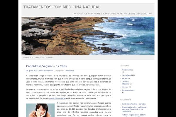picolight theme site design template sample