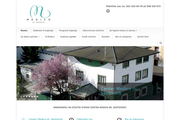 Modernize theme site design template sample