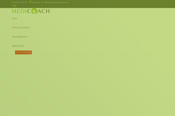 Site using Newsletter2go plugin