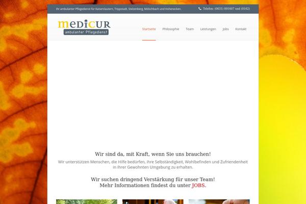 Boson theme site design template sample