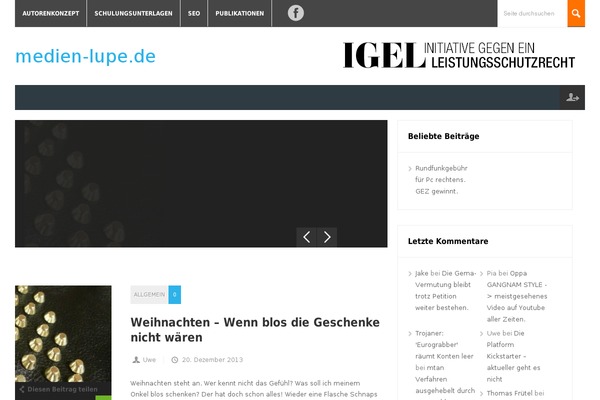 medien-lupe.de site used Magnovus