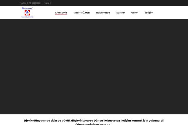 Academist theme site design template sample