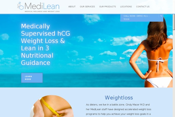 Ammon Theme theme site design template sample