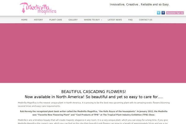 Broadscope theme site design template sample