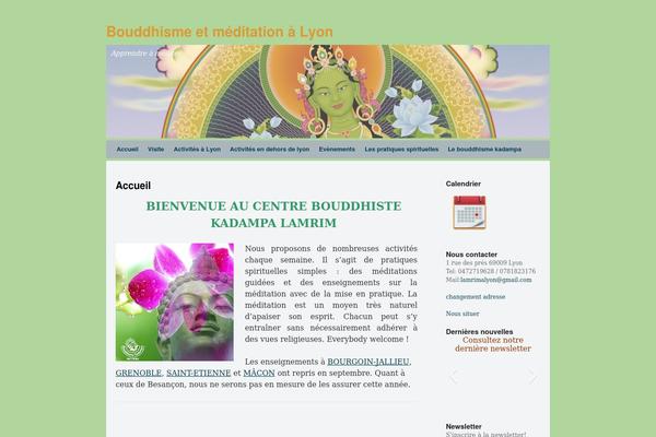 Silver Spot theme site design template sample