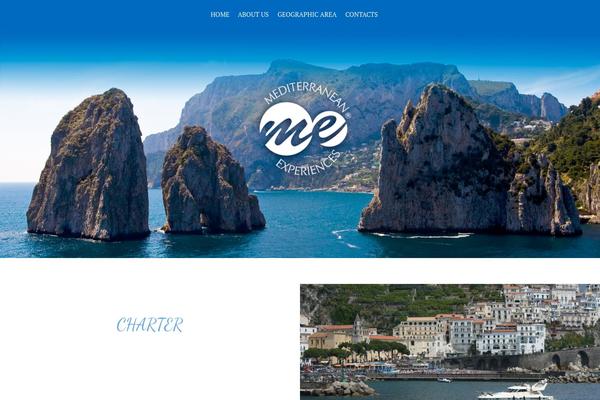 Flash theme site design template sample