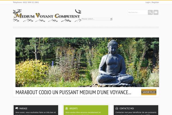 Camy theme site design template sample
