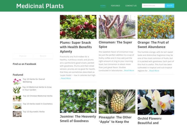 Spike theme site design template sample